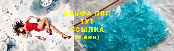 кокс Белокуриха