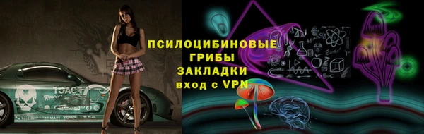 кокс Белокуриха