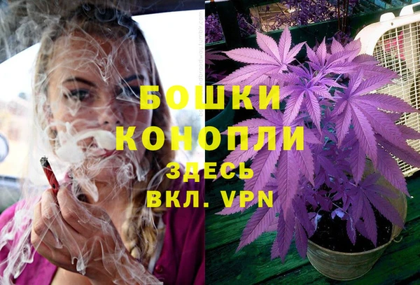 кокс Белокуриха
