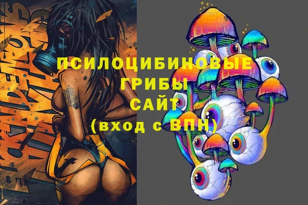 гашик Белоозёрский